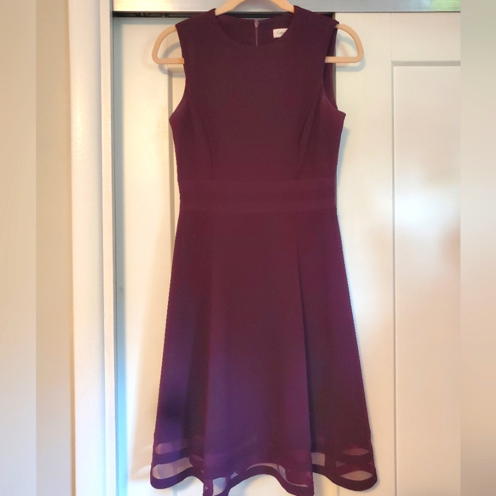 Purple Plum Calvin Klein Dress Size 2